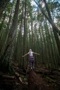 Woman Walking on a Log in a Forest